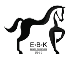 Eskişehir Binicilik Kulübü (EBK) logosu